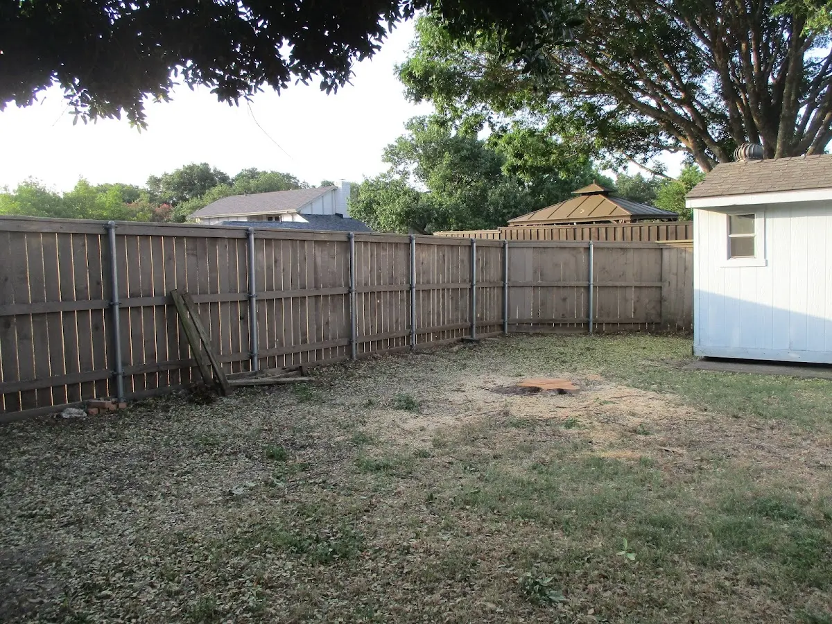 Cleared yard after professional tree removal in Oakland City